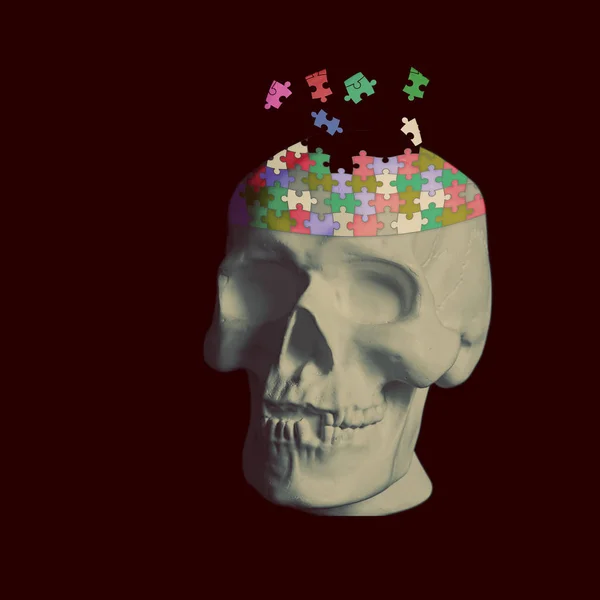 Crânio humano, desmontado em quebra-cabeças — Fotografia de Stock