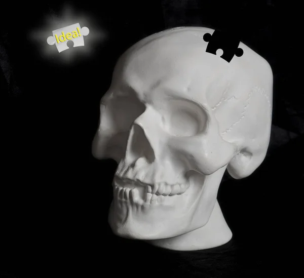 Crânio humano, desmontado em quebra-cabeças — Fotografia de Stock