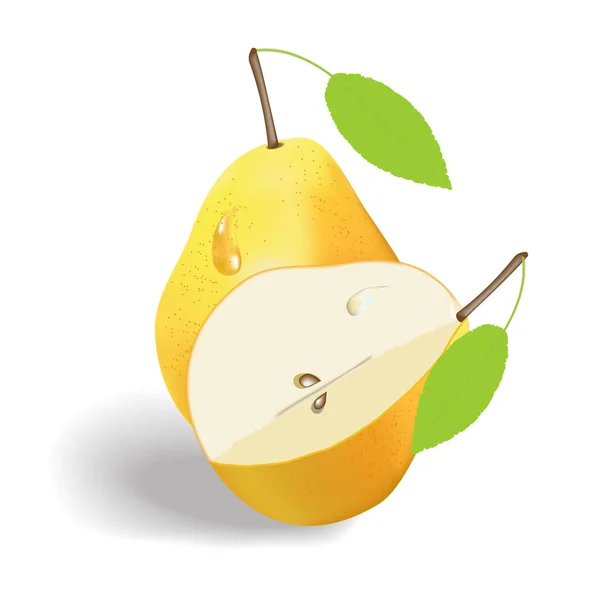 2 つの黄梨のベクトル画像 — ストックベクタ