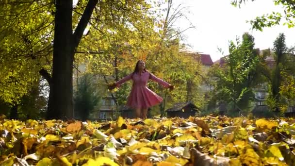 Szczęśliwa dziewczyna w jesiennym parku — Wideo stockowe