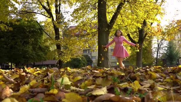 秋の公園で幸せな女の子 — ストック動画