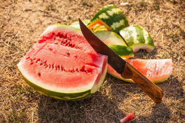 büyük olgun karpuz dilimi ve bıçak ile