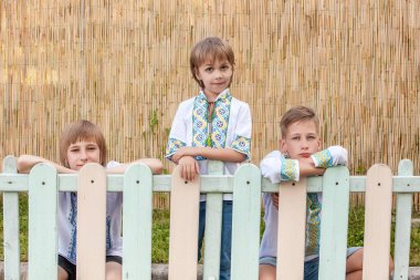 Kırsal bölgelerde farklı yaşlarda geleneksel gömlek giyen Ukraynalı çocuklar