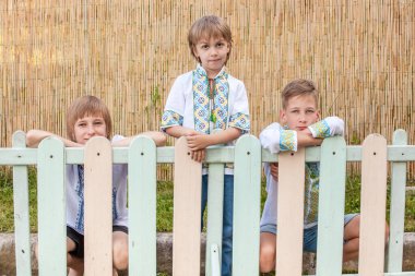 Kırsal bölgelerde farklı yaşlarda geleneksel gömlek giyen Ukraynalı çocuklar