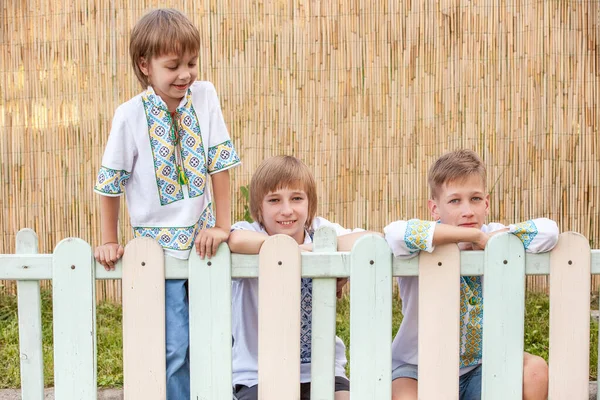 Kırsal bölgelerde farklı yaşlarda geleneksel gömlek giyen Ukraynalı çocuklar