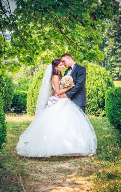 Gelin ve damat Parkta yürümek