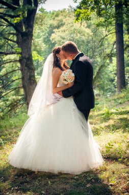 Gelin ve damat Parkta yürümek