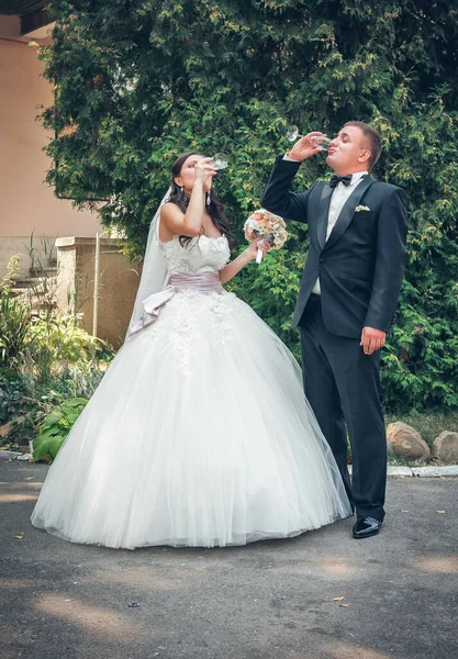 Pasgetrouwden Drinken Champagne Glazen — Stockfoto