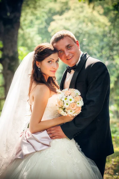Menyasszony Vőlegény Séta Parkban — Stock Fotó