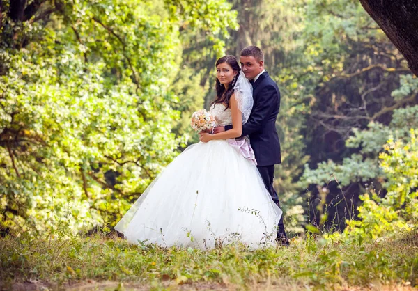 Braut Und Bräutigam Spazieren Park — Stockfoto