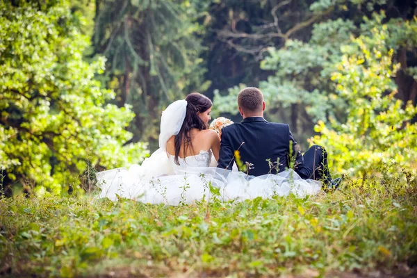 Bruid Bruidegom Wandelen Het Park — Stockfoto