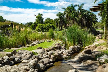 Arjantin 'de alışılmadık bir ekopark manzarası