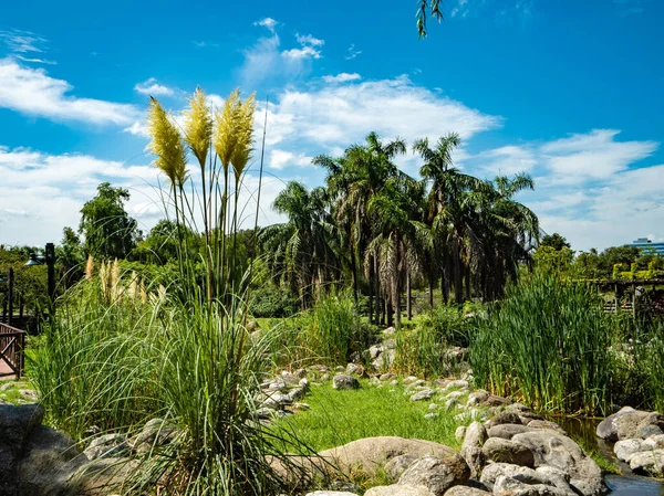 Paesaggio Insolito Ecoparco Argentina — Foto Stock