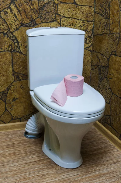 Papel higiénico e WC — Fotografia de Stock