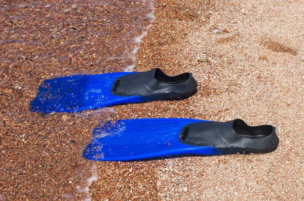 Flippers on the beach — Stock Photo, Image