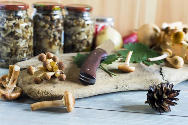 Bankalar salamura mantar ile 