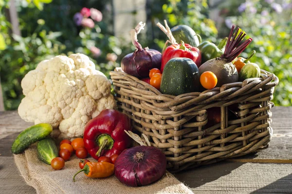 Vegetables harvest in  basket — Stock Photo, Image