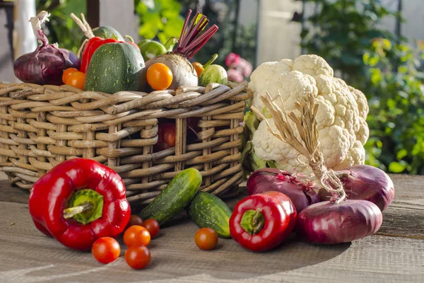 Vegetables harvest in  basket — Stock Photo, Image