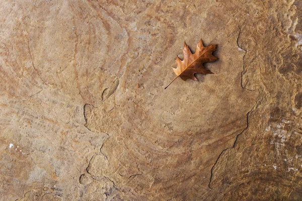 Paslı arka plan. Sanayi, beton. — Stok fotoğraf