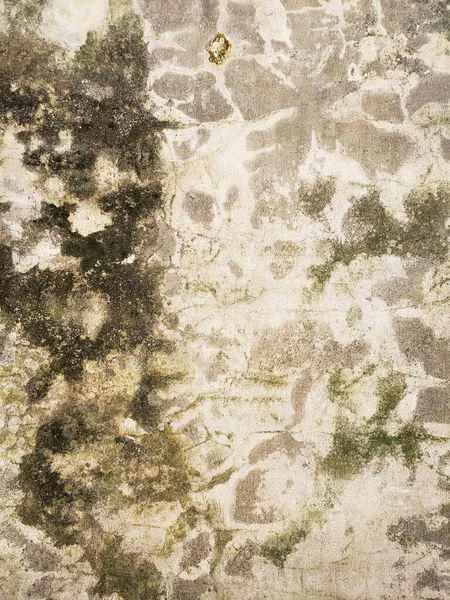 Duvarında Küf Leke Olan Eski Bir Sıva Arkaplan — Stok fotoğraf