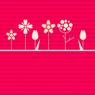 pembe bir arka plan üzerinde beyaz çiçekler