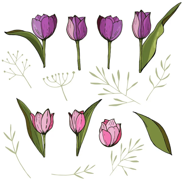 Fyrkantig ram med tulpaner och örter på vitt. Blommönster för bröllop design, blommig gratulationskort, affischer. — Stock vektor
