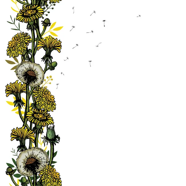 Векторная иллюстрация бесшовная кисть с одуванчиками, листьями, цветочным лугом. Летний цветочный сезон красивый желтый одуванчик . — стоковый вектор