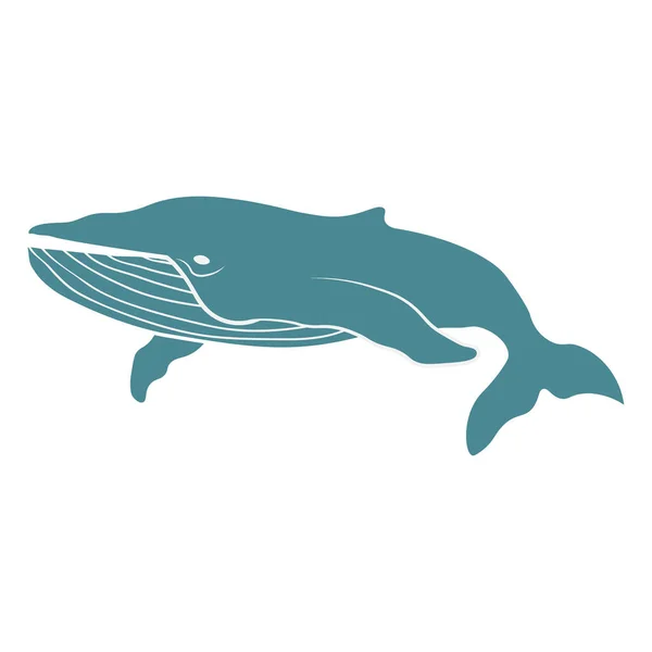 Векторный симпатичный мультфильм синий кит изолирован на белом фоне. Векторная иллюстрация EPS.10 — стоковый вектор