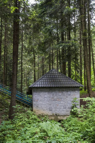 Cabin in forest — Stock Photo, Image