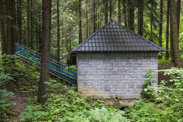 Cabin in forest — Stock Photo, Image