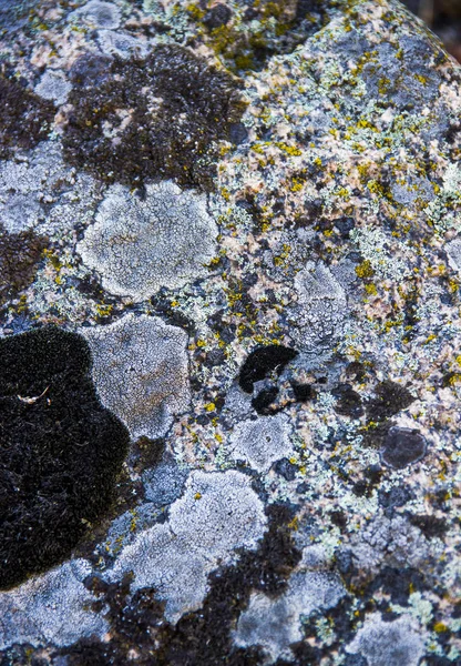 Textura de piedra de primer plano — Foto de Stock