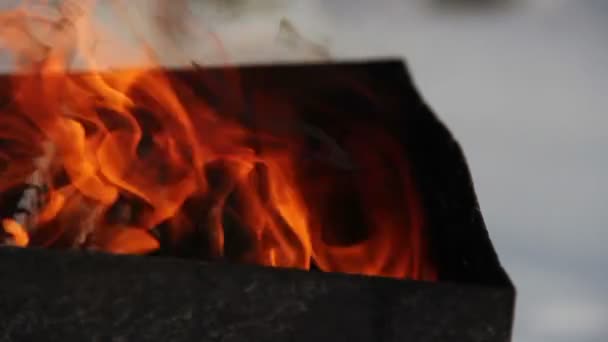Zimní grilování oheň — Stock video