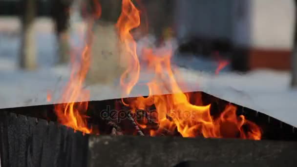 Fuego de barbacoa de invierno — Vídeos de Stock