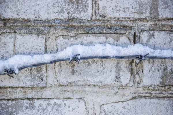 Barbwire in winter — Stock Photo, Image