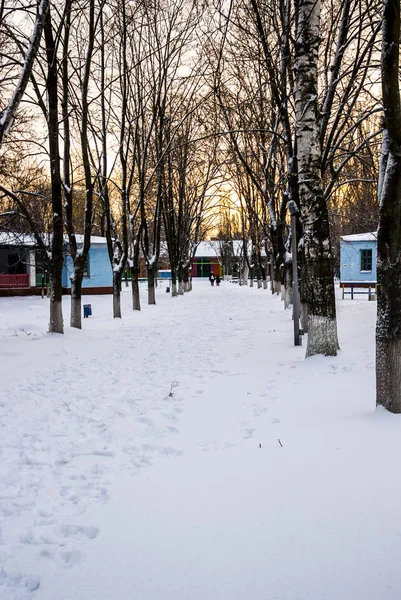 Alley in inverno — Foto Stock