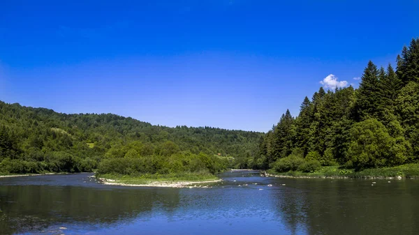 Rio na floresta dos Cárpatos — Fotografia de Stock