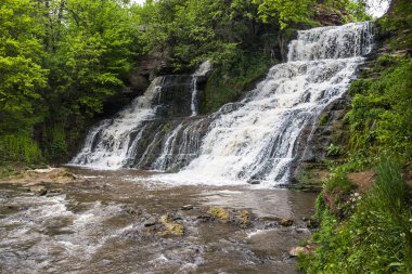 Büyük şelale orman içinde