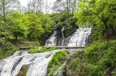 Büyük şelale orman içinde