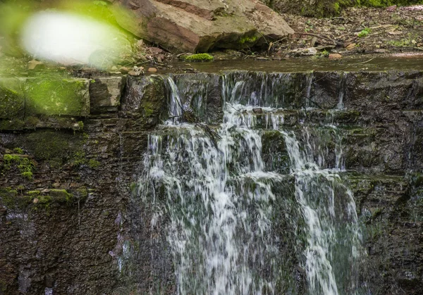 Cascade tombe dans la forêt — Photo