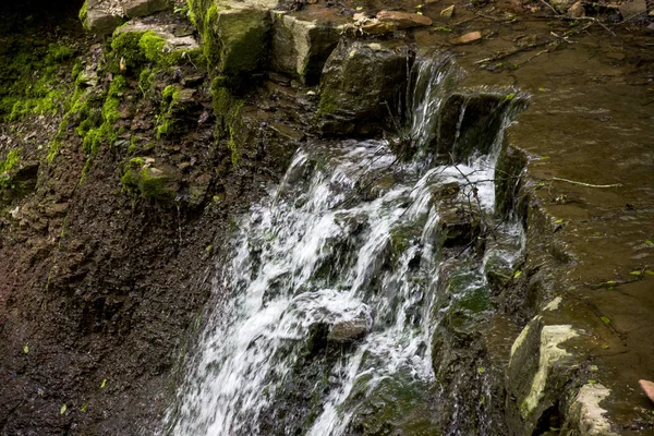 Cascade tombe dans la forêt — Photo