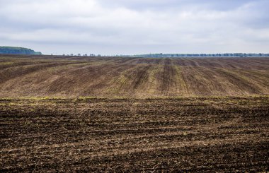 tarıma elverişli alan çiftlik