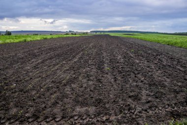 tarıma elverişli alan çiftlik