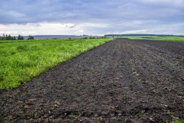tarıma elverişli alan çiftlik