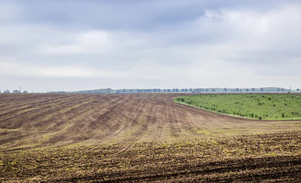 Tarıma elverişli alan çiftlik — Stok fotoğraf