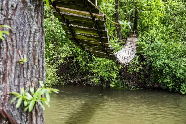 Passerelle suspendue en bois — Photo