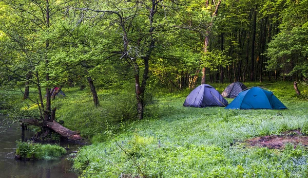 Turystyczny camping w lesie — Zdjęcie stockowe