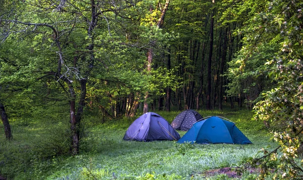 Acampamento turístico na floresta — Fotografia de Stock