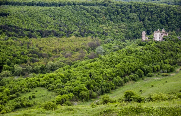 Old castle ruins — Stock Photo, Image