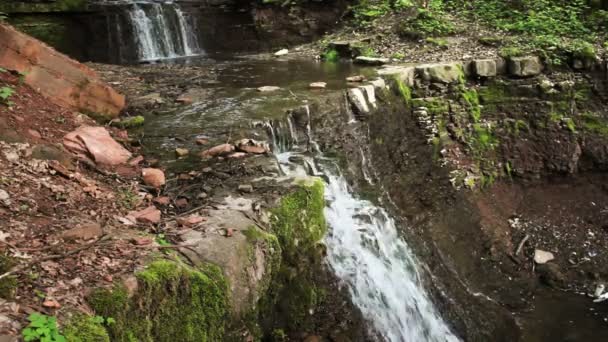 Cascada cae en el bosque — Vídeo de stock