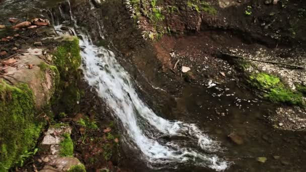 Kaskády vodopády v lese — Stock video